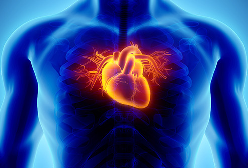 [:en]Heart Diseases[:km]ជម្ងឺបេះដូង និង ស្តឹមសែល[:]