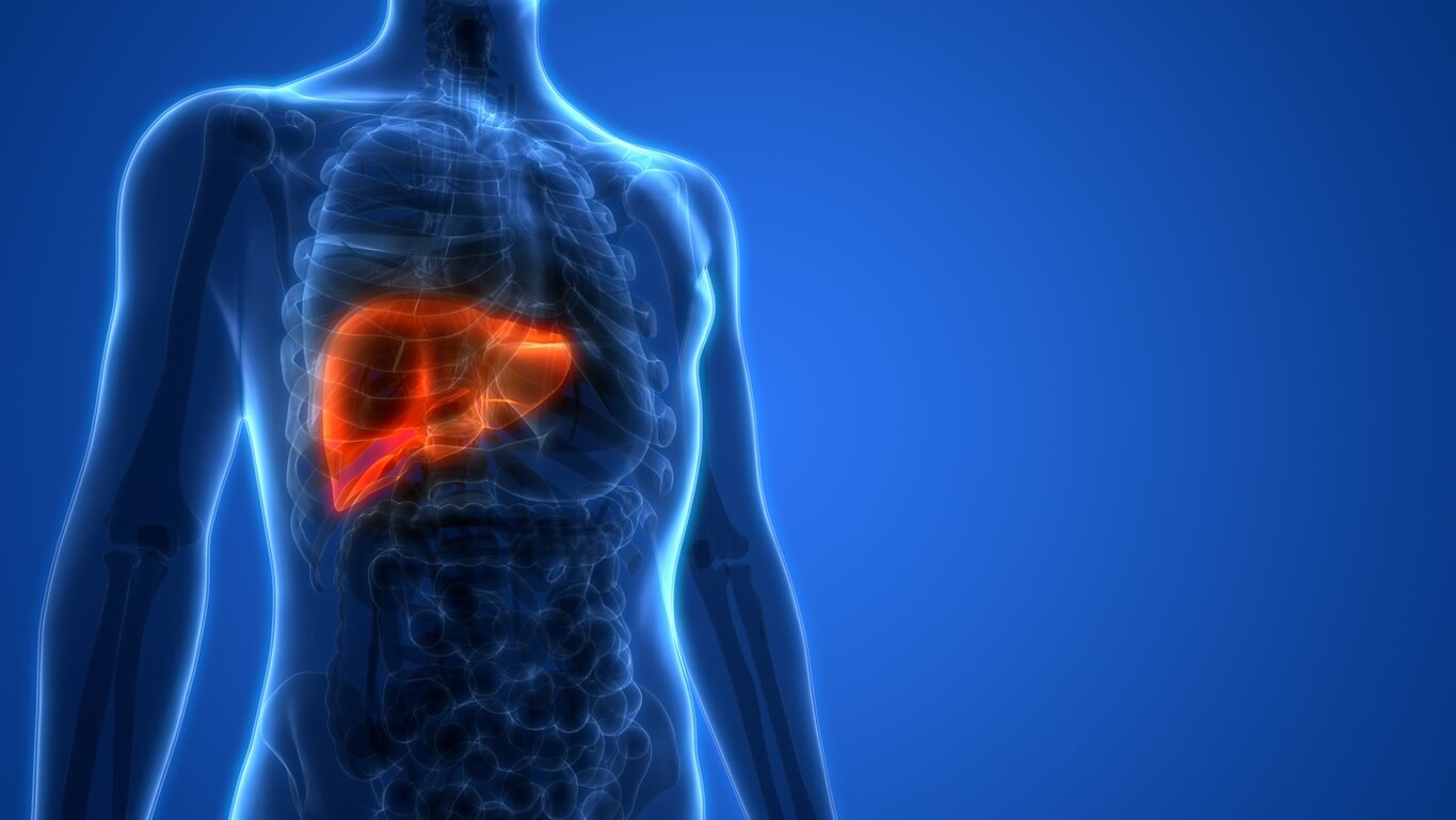 ជំងឺក្រិនថ្លើម (Cirrhosis)