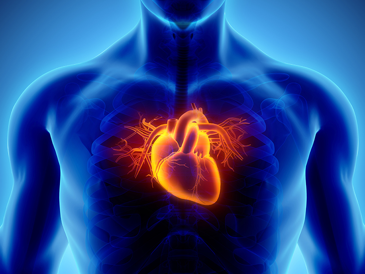 ជំងឺសរសៃឈាមបេះដូង (Coronary Artery Disease)