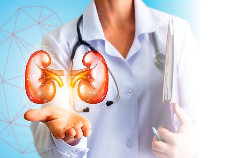 ការប្តូរតំរងនោម (Kidney Transplantation)